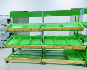 Vegetable Display Shelves For Fresh Produce Vegetable Display Shelves For Fresh Produce